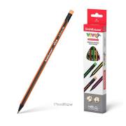 Pack 12 lápis com borracha Erichkrause Vivo HB - triangular / HB / preto