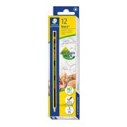 Pack 12 - Lápis Carvão Noris 120 - H / N3